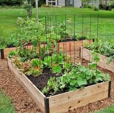 a backyard garden is a fun & sustainable family project!